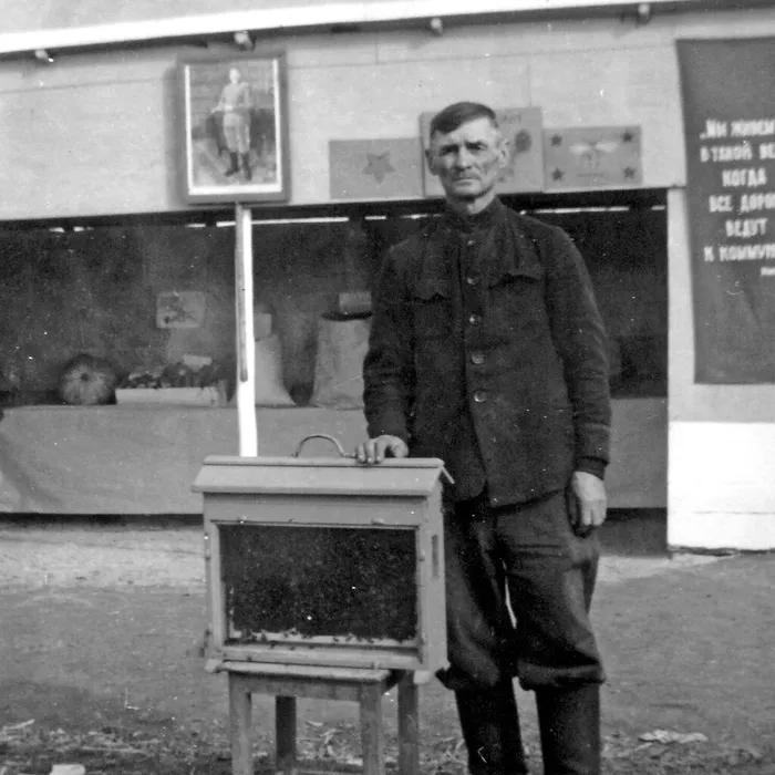  Районная выставка достижений народного хозяйства, 1952 г.