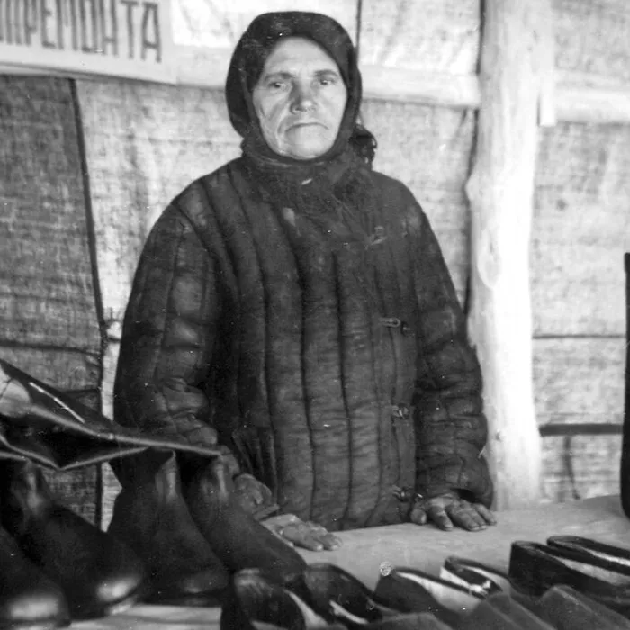  Районная выставка достижений народного хозяйства, 1952 г.