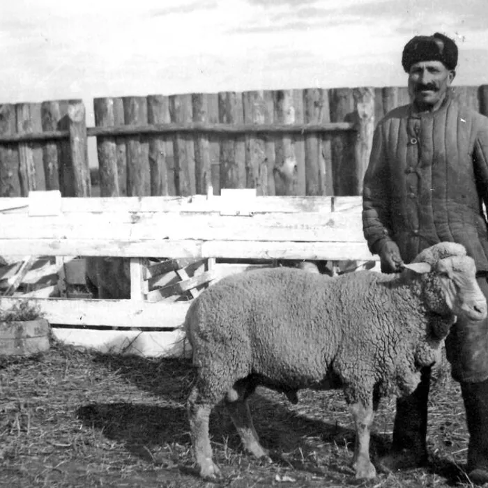  Районная выставка достижений народного хозяйства, 1952 г.